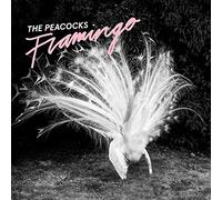 Peacocks - Flamingos