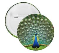 Peacocks Open Tail Feathers Novelty Brooches & Pins Tinplate Personalised Lapel Badge for Men Women