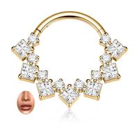 PEAKLINK 16G Septum Clicker Ring Titanium Nose Hoop Ring with CZ Daith Piercing Jewelry Rook Tragus Snug Helix Conch Cartilage Hoop Earring for Women 8mm 10mm, cubic zirconia