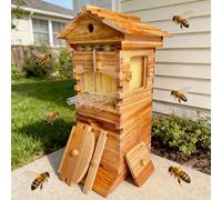 pealiritansemen Beekeeping Hive for Small Spaces - Compact Self-Flow Beehive, Wooden Beehive with Plastic Honey Comb & Viewing Window, for Balcony, Patio, Backyard, Mountain Areas Wax-Dipped