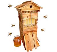 pealiritansemen Self-Flow Beehive Starter Kit - Mini Beginner Beehive with Transparent Viewing Window, Compact Urban Beekeeping Hive, Self-Flow Honey Comb for Balcony/Backyard/Farm Wax-Dipped