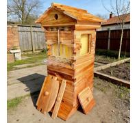 pealiritansemen Upgraded Home Self-Flow Beehive - Small Beehive Starter Kit for Beginners, Cedar Frames & Viewing Window, Easy Honey Harvest Without Disturbing Bees, for Balcony/Backyard Wax-Dipped