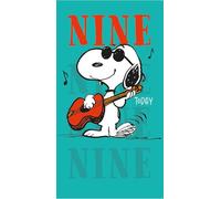 peanuts, age 9, birthday card