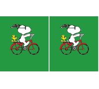 PEANUTS Blank Greeting Card (Pack of 2)
