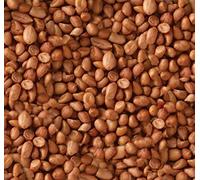 Peanuts for Wild Birds 25kg - High Energy Food, High Protein Feed, Rich in Fats and Fibre, Great for Hanging Feeders, Bird Tables and Ground Feeding, Bulk Bag - Buzzby's