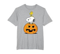 Peanuts Halloween Snoopy and Woodstock T-Shirt, Men's Big and Tall, Heather Grey, 4X Tall