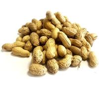 Peanuts in Shells 1.25kg Premium Safe Wild Bird Food Monkey Nuts Afflotoxin Free MCW