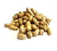 Peanuts in Shells 2kg Premium Safe Wild Bird Food Monkey Nuts Afflotoxin Free