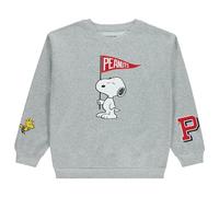 Peanuts Ladies Snoopy Fashion Sweatshirt Crewneck with Chenille Patch and Embroidery Sleeve Prints - Snoopy Sweatshirt, Light Grey Heather, XXL