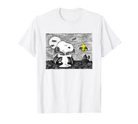 Peanuts Snoopy and Woodstock Halloween Midnight Flight T-Shirt, Men, White, 3X-Large