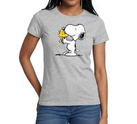 Peanuts Snoopy and Woodstock Women's T-Shirt Heather Grey