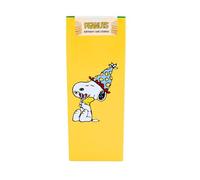 Peanuts Snoopy Birthday Cake Cookies Gift Tin Collectable Gift - Infinity Brands - Nostalgic Delight, Heartwarming Gift, Reusable Keepsake, Colourful Design, Memorable Keepsake