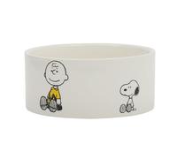 Peanuts Snoopy & Charlie Brown 6" Stoneware Dog Food Bowl - for Small to Medium Dogs - Cute Cartoon Pet Dish, Durable & Easy to Clean - Puppy Feeding