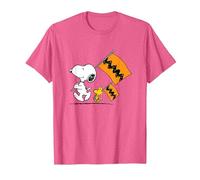 Peanuts - Snoopy Charlie Brown Flags T-Shirt, Men, Pink Heather, XX-Large