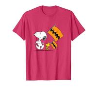 Peanuts - Snoopy Charlie Brown Flags T-Shirt, Men, Red Heather, Small