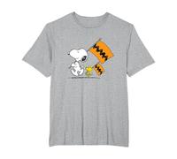 Peanuts - Snoopy Charlie Brown Flags T-Shirt, Men's Big and Tall, Heather Grey, 6X Tall