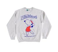 Peanuts Snoopy Its Flashbeagle Grey Marl Sweater