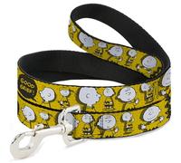 Peanuts Worldwide LLC Pet Leash, Dog Leash, Peanuts I Am Charlie Brown Poses and Zig Zag Stripe Yellows, 4 Feet Long 1.5 Inch Wide