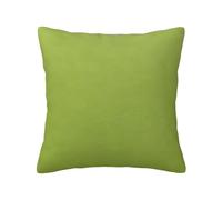 Pear Green Print Throw Pillow Covers Hidden Zipper Sofa Pillow Covers for Summer, Outdoor Decoration