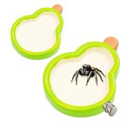 Pear Jumping Spider Enclosure Ledges 2 Pcs Jumping Spider Accessories Enclosure Accessories for Spiders Climbing Feeding Resting Exploration