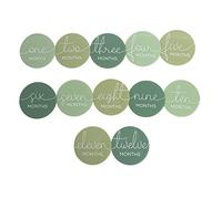 Pearhead Acrylic Monthly Milestone Photo Cards, Gender-Neutral Baby’s First Year Photo Prop Discs, Pregnancy Journey Milestone Markers, Sage