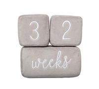 Pearhead Baby Plush Photo Sharing Milestone Age Blocks, Picture Prop, Set of 3 Blocks, Gray