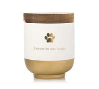 Pearhead Pet Ceramic Forever in Our Hearts Urn, Pet Memorial, Gold Pet Urn, Memorial For Dog or Cat