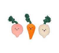 Pearhead Spring Garden Veggies Dog Toys, Radish, Carrot and Turnip Squeaky Rope Toys, Gift for Pet Parents, Vegetable Plush Dog Toys, Set of 3