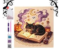 Pearl Art Kits for Adults Black Cat Leaning With Rhinestones