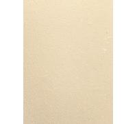 PEARL-Card-2S:Cosmos Pearl G2 A4 270gsm 2S Gold White