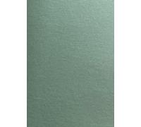 PEARL-Card-2S:Cosmos Pearl G2 A4 270gsm 2S Sage Green