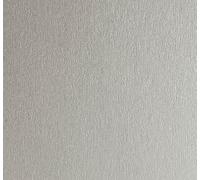 PEARL-Card-2S:Cosmos Pearl G2 A4 270gsm 2S Sterling Silver