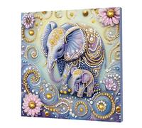 Pearl Gem Diamond Art Painting Kit with Frame for Adults,5D Diamond Pearl Painting Kit Special Shaped Drill Gem Art,DIY Diamond Dots Paintings Picture Arts Craft, Home Wall Decor 25x25cm