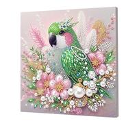 Pearl Gem Diamond Art Painting Kit with Frame for Adults,5D Diamond Pearl Painting Kit Special Shaped Drill Gem Art,DIY Diamond Dots Paintings Picture Arts Craft, Home Wall Decor 25x25cm