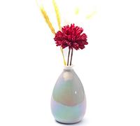 Pearl Glaze Vase with Flowers(A)