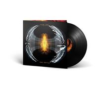 Pearl Jam Dark Matter (Vinyl) 12" Album (US IMPORT)