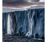 PEARL JAM - Gigaton - Vinyl (gatefold 2xLP (side 4 etched) + 28 page booklet)