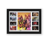 Pearl Jam Poster Print - Limited Edition Autograph Fan Gift - Collectible Memorabilia Merchandise (Framed A4 (30x21cm))