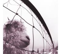 Pearl Jam Vs. Double 12 Inch Vinyl NEW