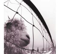 Pearl Jam 'Vs. (Remastered)' LP Black Vinyl