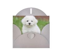 Pearl Paper Bichon Frise Dog Printed Greeting Card With Envelope,Blank Inside For Birthday,Christmas, All Occasions,6x4 Inch