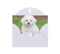 Pearl Paper Bichon Frise Dog Printed Greeting Card With Envelope,Blank Inside For Birthday,Christmas, All Occasions,6x4 Inch