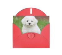 Pearl Paper Bichon Frise Dog Printed Greeting Card With Envelope,Blank Inside For Birthday,Christmas, All Occasions,6x4 Inch
