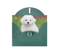 Pearl Paper Bichon Frise Dog Printed Greeting Card With Envelope,Blank Inside For Birthday,Christmas, All Occasions,6x4 Inch