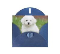 Pearl Paper Bichon Frise Dog Printed Greeting Card With Envelope,Blank Inside For Birthday,Christmas, All Occasions,6x4 Inch