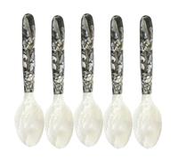 Pearl Shell Kitchen Spoon - Caviar Spoons with Round Handles | 5 Piece Mother of Pearl Spoon | Decorative Caviar Spoons, Mother of Pearl Spoons for Ice Cream All' E Ca