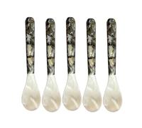 Pearl Shell Kitchen Spoon - Caviar Spoons with Round Handles | 5 Piece Mother of Pearl Spoon | Decorative Caviar Spoons, Mother of Pearl Spoons for Ice Cream All' E Ca