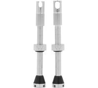 Peaty's x Chris King Tubeless MK2 Valves - Silver (42 mm) Size: 4