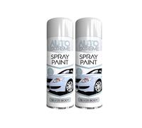 PEBBLE HUG All Purpose Spray Paint, Silver Body Gloss Aerosol Paint, Ideal and Perfect Finish for Cars, Bikes, Vans, Metal and Wood, Quick Drying, Safe and Durable, 250ml (2 Pcs)