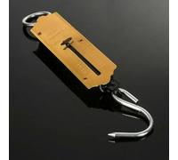 PEBBLE HUG Pocket Spring Balance Luggage Scale 25 kg Weight Measuring Fishing Luggage, Golden Mechanical Balance with Hook for Home, School, Classroom, Kitchen Use (Pack of 2)